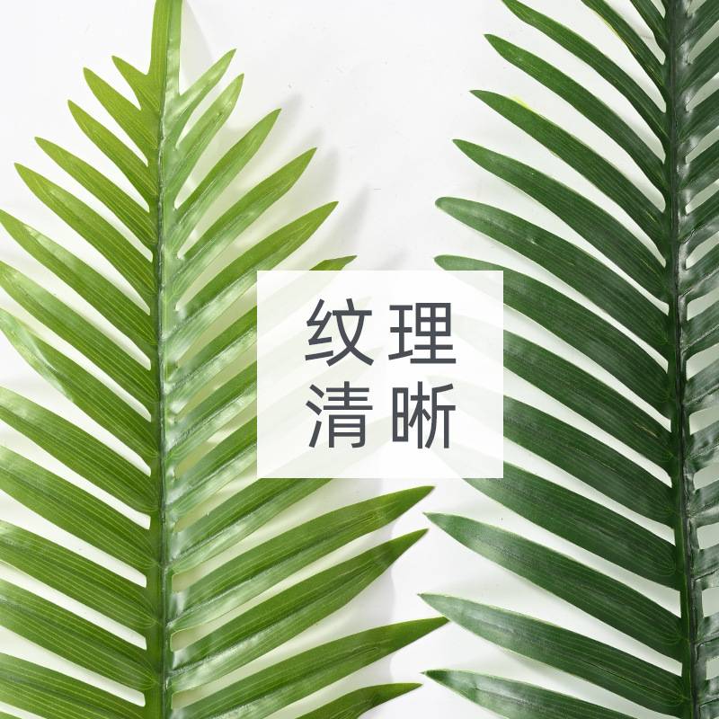 亚马逊仿生散尾葵绿植盆栽 室内家居凤尾葵仿真树摆件人造散尾葵
