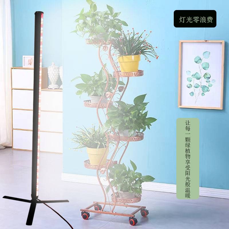 多肉植物生长补光灯全光谱40瓦LED 2G11上色三脚支架零浪费植物灯