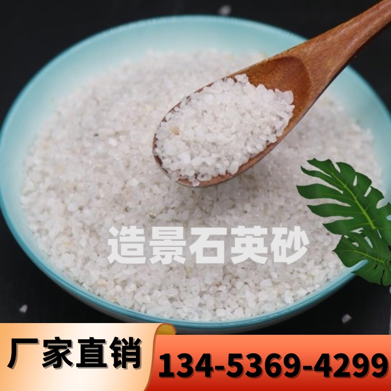 甘肃石英砂纯白细沙酒店灭烟沙枯山水石英沙画画白沙造景沙子