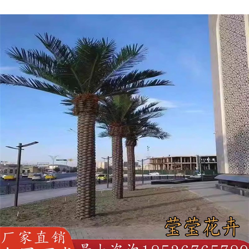 仿真海藻树玻璃钢假树大型椰子树加纳利海枣树户外室内外大型摆件