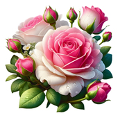 大朵浪漫玫瑰花贴纸卧室卫生间餐厅墙面装 饰自贴画高级真防水P186