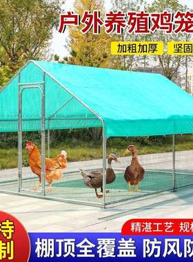 户外款养子家用鸡棚NFP户外家禽鸡舍鸡养殖遮雨棚骨架挡笼风防新