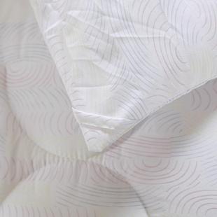 羽UVY丝春被秋芯四季绒学化纤被生棉被单人双人加大