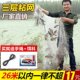 100米捕鱼网鲢鱼渔具粘渔网浮网沉网编制网三层白条网沾鲫鱼水库
