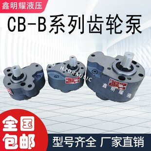 B50 B2.5 B16 B25 B20 齿轮泵CB B63液压油泵 B32 B40 B10
