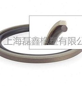 STD格来圈GSF430*405.5*8.1(O型圈在内) 活塞组合油封PG孔用