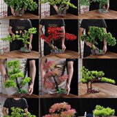 海鲜姿造刺身摆盘装 饰品 饰花草迎客松树小摆件酒店意境点缀冷菜装