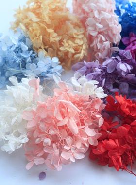 AB级永生花木绣球安娜绣球干花浮游花香薰团扇diy材料包花材