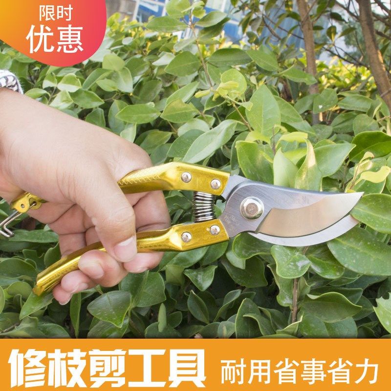 不锈钢花剪手工修枝剪园艺剪刀艺剪果树剪省力花卉园林采摘剪刀,搬运/仓储/物流设备,其他起重搬运设备,淘宝优惠券,粉丝福利购,淘宝优惠卷