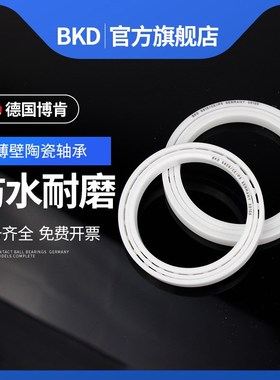 BKD德国进口陶瓷轴承16005CE/16006 16007 16008 16009高速耐高温