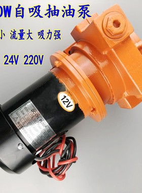 AC220V DC12V24V电动抽油泵 柴油泵 大流量油泵550W 600W静音油泵