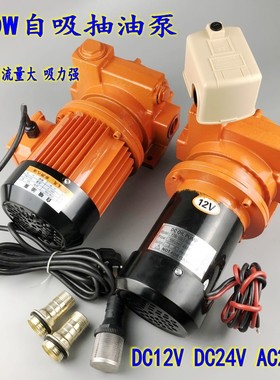 AC220V DC12V24V油泵 柴油泵 大流量电动抽油泵 550W 600W静音