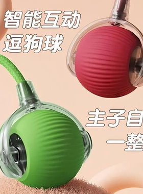 【下单立减50】猫咪玩具悬浮球解闷自动逗猫球遛猫遛狗球电动球ZJ