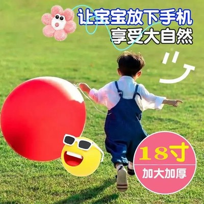【抢！升级10个装】18寸大气球加厚儿童拍球户外汽车防虫网玩具XD