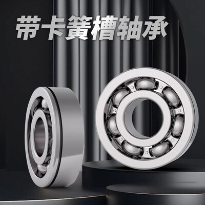 SQI带卡簧槽轴承6216 6217 6218 6219 6220 6221 6222 6224N 开示