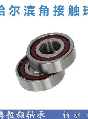 7019AC C 36119 46119J哈尔滨角接触球轴承内径95外径145厚度24mm