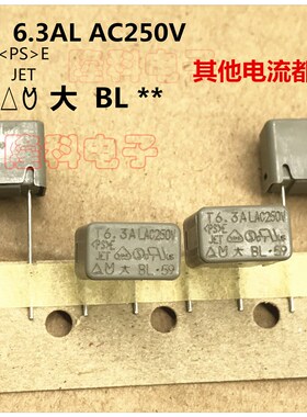 6.3A大BL250V灰色BL63  大东进口方形保险丝管 慢熔T6.3AL AC250V