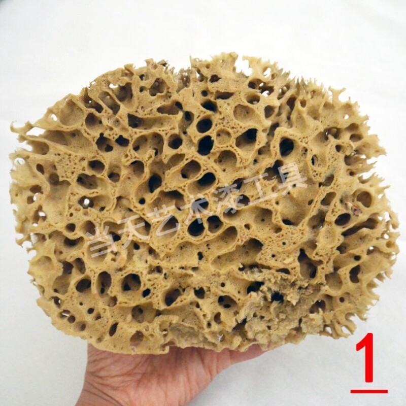 天然海藻绵大尺寸艺术漆硅藻泥施工工具大全幻彩漆肌理漆涂料造型