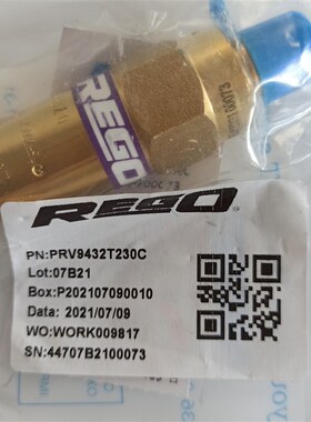 REGO美国力高PRV9432T230C安全阀 PRV9432T350C低温杜瓦瓶安全阀