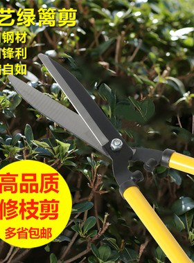 伸缩园林剪园艺剪刀绿篱剪修树枝果树剪树枝剪大花剪修枝大剪刀