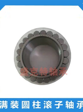 双列满装圆柱滚子轴承SL045016 045017 045018 045019 SL045020