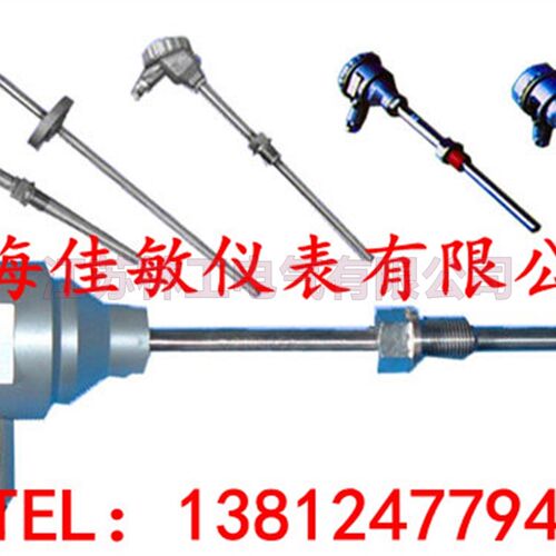 防爆型热电阻 WZP-241 WZP-240 防爆热电偶 铂电阻 温度变送器