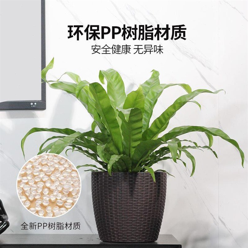 自动吸水储水花盆懒人塑料仿藤编北欧简J约家用客厅阳台大号免浇