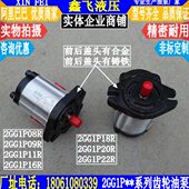 2GG1P20R 2GG1P08R 2GG1P22R齿轮泵 2GG1P16R 2GG1P18R 09R 11R