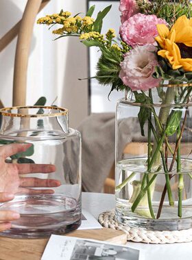 花瓶摆件客厅插花玻璃轻奢高级感透明复古餐桌矮水培玫瑰大肚宽口