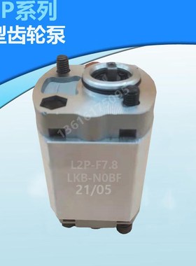 微型齿轮泵L2P-F1.6-LKB-NOBF F1.2 F2.1 F0.75 F0.8 F2.7 F3.2