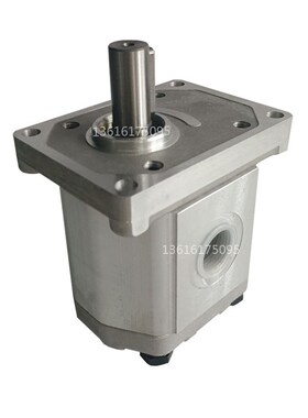 Boden齿轮泵BAP2B1D16C2E3/D10/D12/D14/D18/D20/D25/D28/D30C2E3