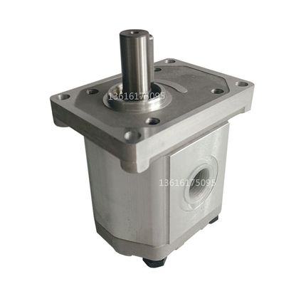 Boden齿轮泵BAP2B1D16C2E3/D10/D12/D14/D18/D20/D25/D28/D30C2E3