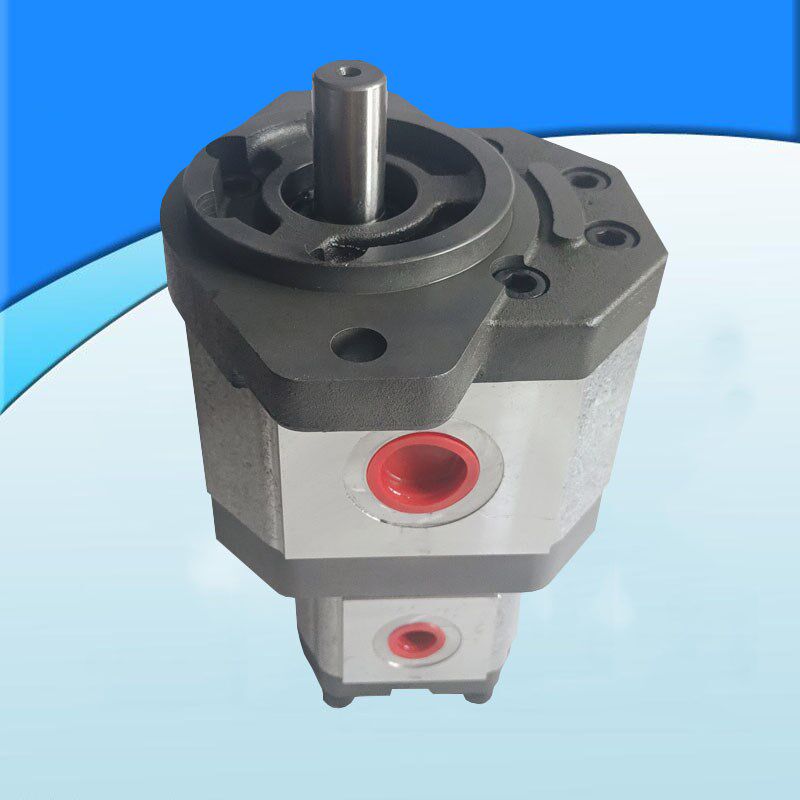 液压齿轮泵 3/2ADPF25/06DL06P16 高压齿轮泵高压油泵 配套电机