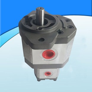 高压齿轮泵高压油泵 液压齿轮泵 06DL06P16 2ADPF25 配套电机