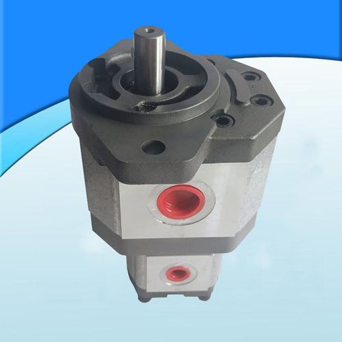 液压齿轮泵 3/2ADPF25/06DL06P16 高压齿轮泵高压油泵 配套电机