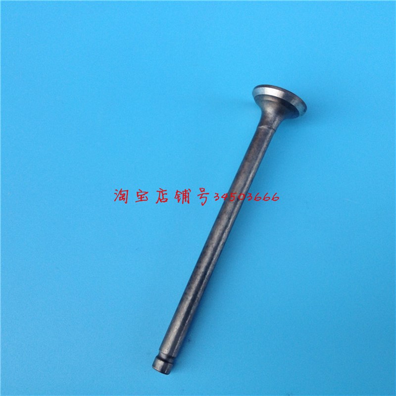 大阳摩托车配件DY48QT-2/-2A进排气门50QT-8/48QT-A发动机气门