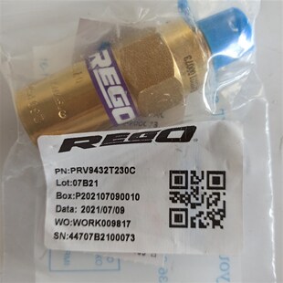 PRV9432T350C低温杜瓦瓶安全阀 REGO美国力高PRV9432T230C安全阀