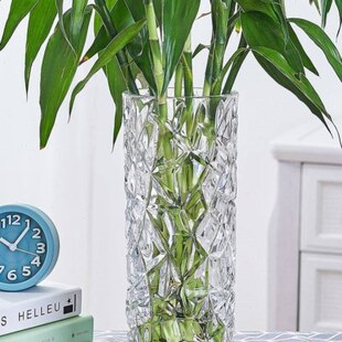 水养富贵竹专用花瓶大口径加厚玻璃2021新款轻奢高端摆件插花大号