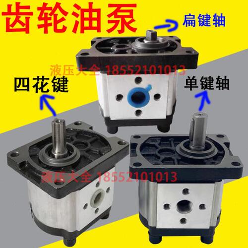 CBN-F304 F306 CBN-F310 CBN-F314 CBN-F316 CBN-F320 CBN-F325泵