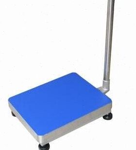 TCS-100电子台秤秤体不锈钢化工防腐方管201焊接秤罩秤架30*40cm