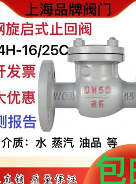 H44H-16C铸钢法兰旋启式止回阀DN50100150耐高温蒸汽单向阀防倒流