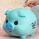 小猪存钱罐十二生肖储蓄罐2024新款 儿童储钱罐男孩女孩只进不出猪