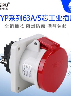 威浦 TYP5923 工业插头 暗装直式插座 连接器 63A 5芯 IP44 WEIPU