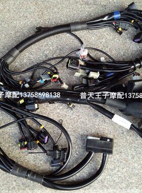 黄龙BJ600GS/BN600全车电缆 全车线路 线束 电缆 电路 线束