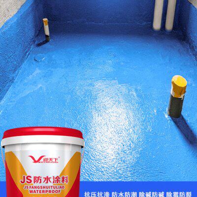 卫生间防水补漏材料 屋顶 楼顶JS防水涂料水池泳池专用堵漏王防水