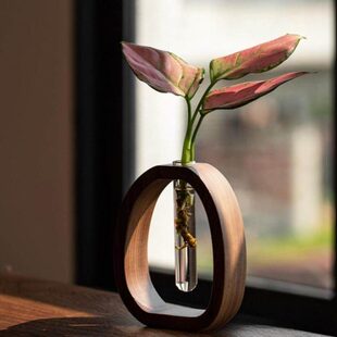 胡桃木透明玻璃小花瓶日系治愈鲜花水养花插迷你实木桌面插花摆件