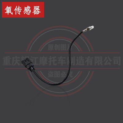 D5和C1与C2氧传感器望江天地游侠摩童迷你街车TD150-3布雷斯通