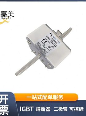 170M8550  170M8554D  快速熔断器  保险丝 电子元器件 量大价优