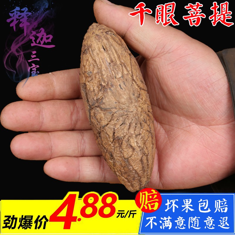千眼菩提原e籽包邮绿果红果红纹菩提子金刚星月老果风化果胖果大
