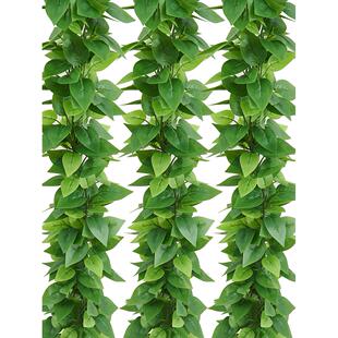 仿真藤条绿萝叶装 饰假树叶绿藤藤蔓塑料花藤水管道遮挡空调绿叶花